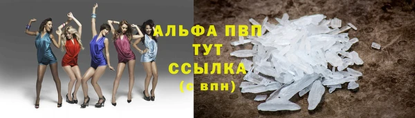 тгк Володарск
