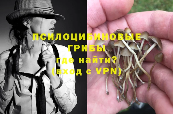 тгк Володарск