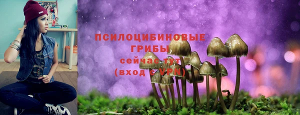 mdpv Волосово